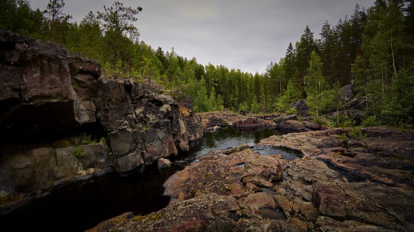 River Rocks Forest Wallpaper