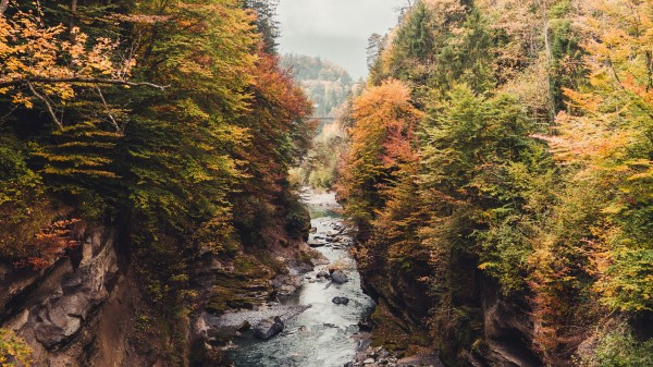 River Rocks Stream Wallpaper
