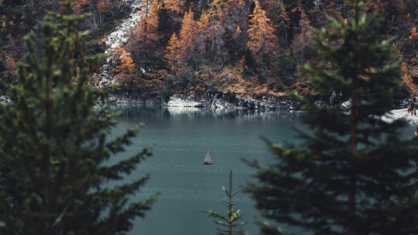 River Sailboat Forest Wallpaper