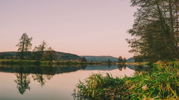 River Shore Water Wallpaper