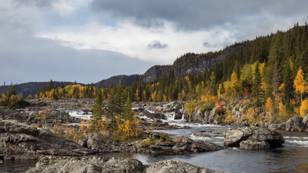 River Stones Rocks Wallpaper