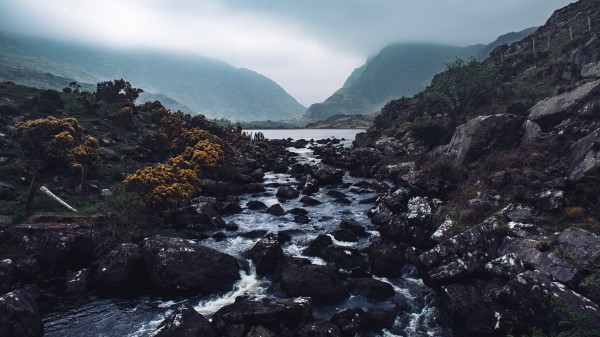 River Stones Stream Wallpaper