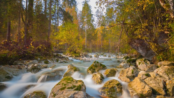 River Stones Trees H Wallpaper