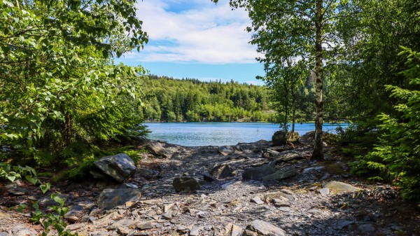 River Stones Trees Image Wallpaper