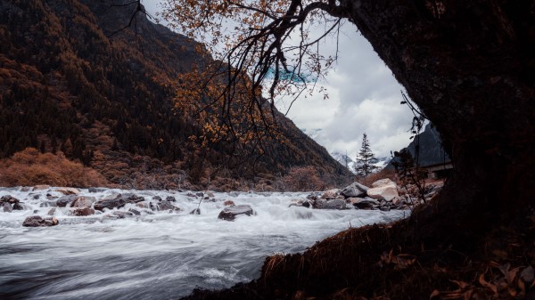 River Stones Water Wallpaper