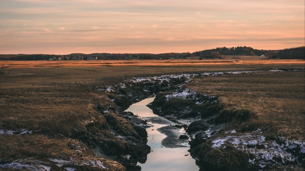 River Stream Current Wallpaper