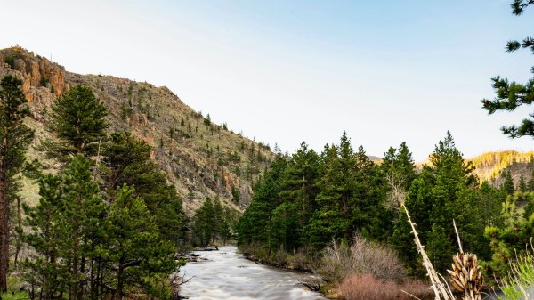 River Stream Rocks Image Wallpaper