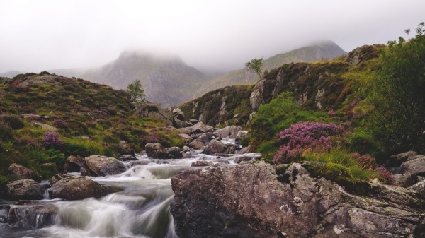 River Stream Stones E Wallpaper
