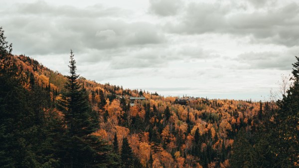 River Trees Autumn Image Wallpaper