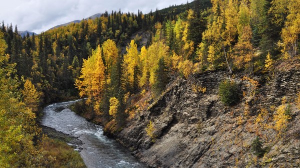 River Trees Autumn Wallpaper