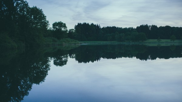 River Trees Evening Wallpaper
