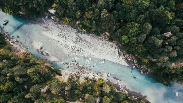 River Trees Forest Image Wallpaper