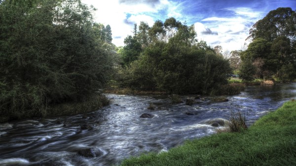 River Trees Landscape Image Wallpaper