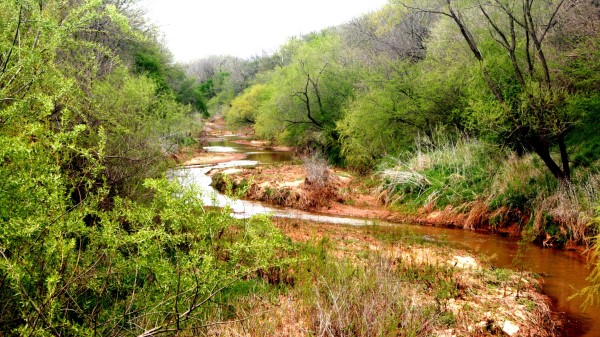 River Trees Landscape Wallpaper