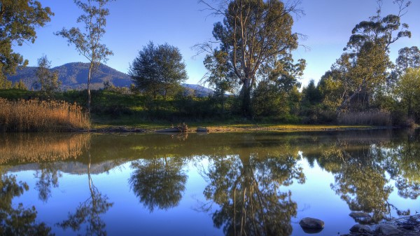 River Trees Nature Landscape Wallpaper