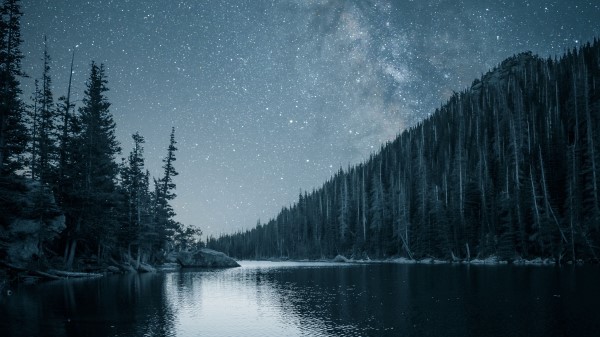 River Trees Starry Sky Wallpaper