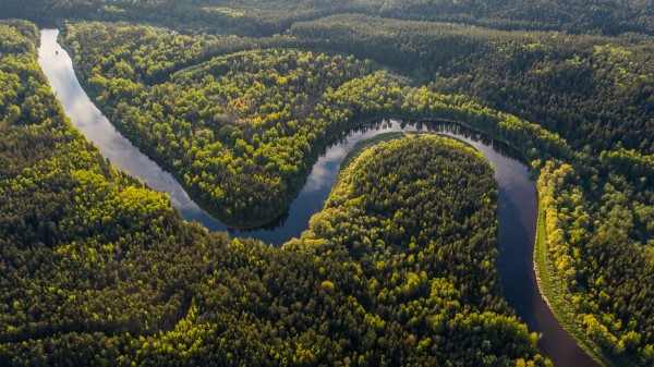 River Winding Forest Wallpaper