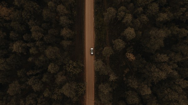 Road Aerial View Trees G Wallpaper