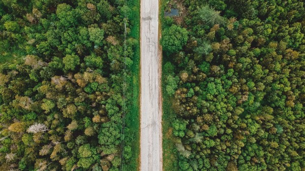 Road Aerial View Trees Image Wallpaper