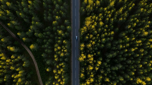 Road Aerial View Trees Wallpaper