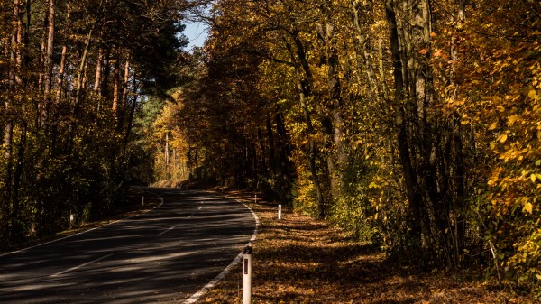 Road Alley Autumn Wallpaper
