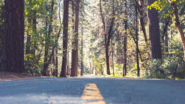 Road Alley Marking Wallpaper