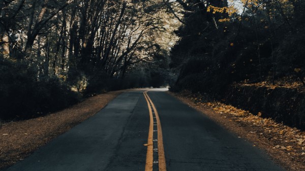 Road Asphalt Trees Wallpaper