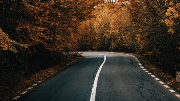 Road Asphalt Turn Wallpaper
