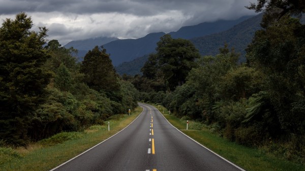 Road Bushes Marking Wallpaper
