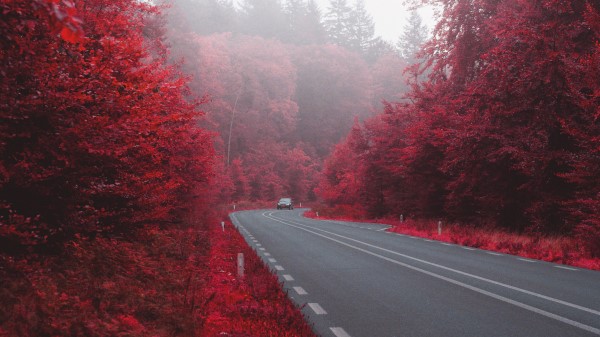 Road Car Autumn Wallpaper