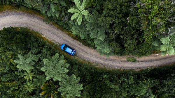 Road Car Palm Trees Wallpaper