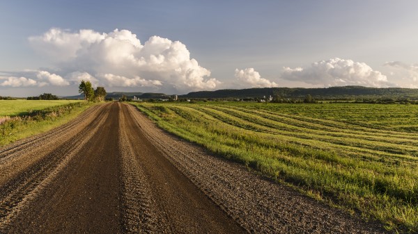 Road Field Grass Sky Trees Wallpaper