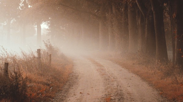 Road Fog Autumn Image Wallpaper