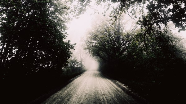 Road Fog Bw Wallpaper