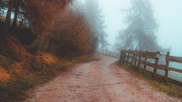 Road Fog Distance Wallpaper
