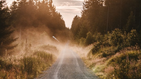 Road Fog Grass Wallpaper
