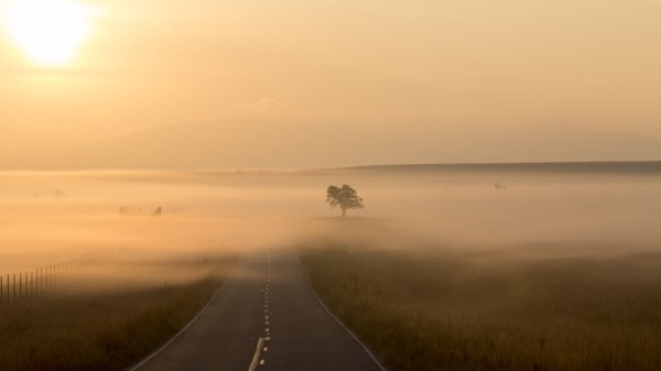Road Fog Marking Image Wallpaper