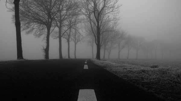 Road Fog Trees Image Wallpaper