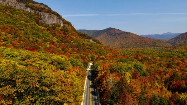 Road Forest Mountains Wallpaper