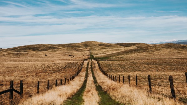 Road Hills Fields Wallpaper