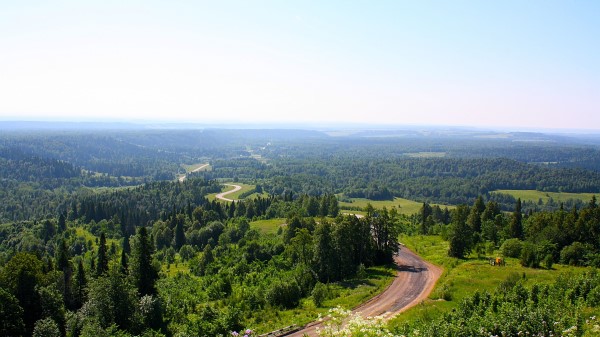 Road Look From Above Clearly Trees Landscap Wallpaper
