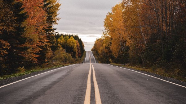 Road Marking Autumn Wallpaper