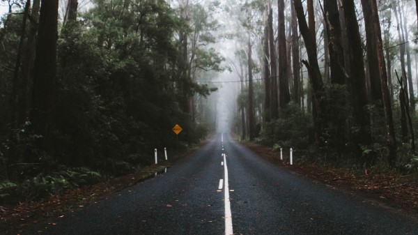 Road Marking Fog Wallpaper