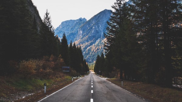Road Marking Mountains Trees Wallpaper