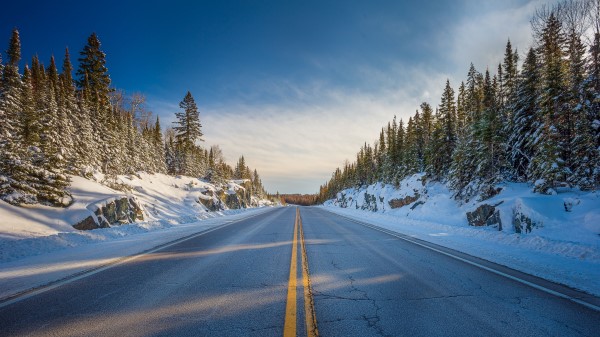 Road Marking Trees Image wallpaper