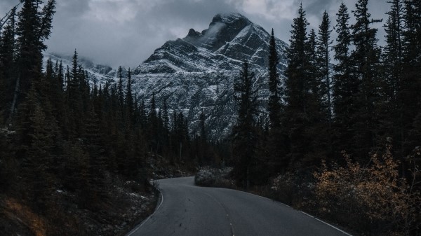 Road Mountain Trees Wallpaper