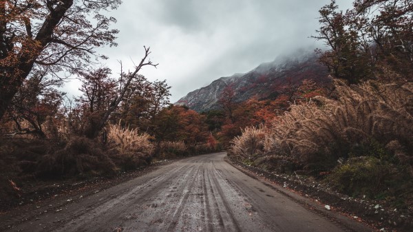 Road Mountains Bushes Wallpaper