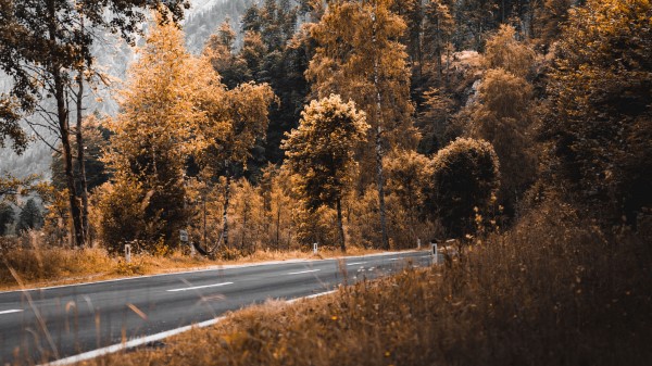 Road Mountains Trees Ff Wallpaper