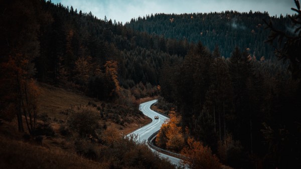 Road Movement Forest Trees Wallpaper