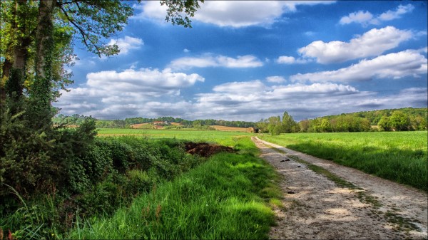 Road Sky Field Landscape Wallpaper